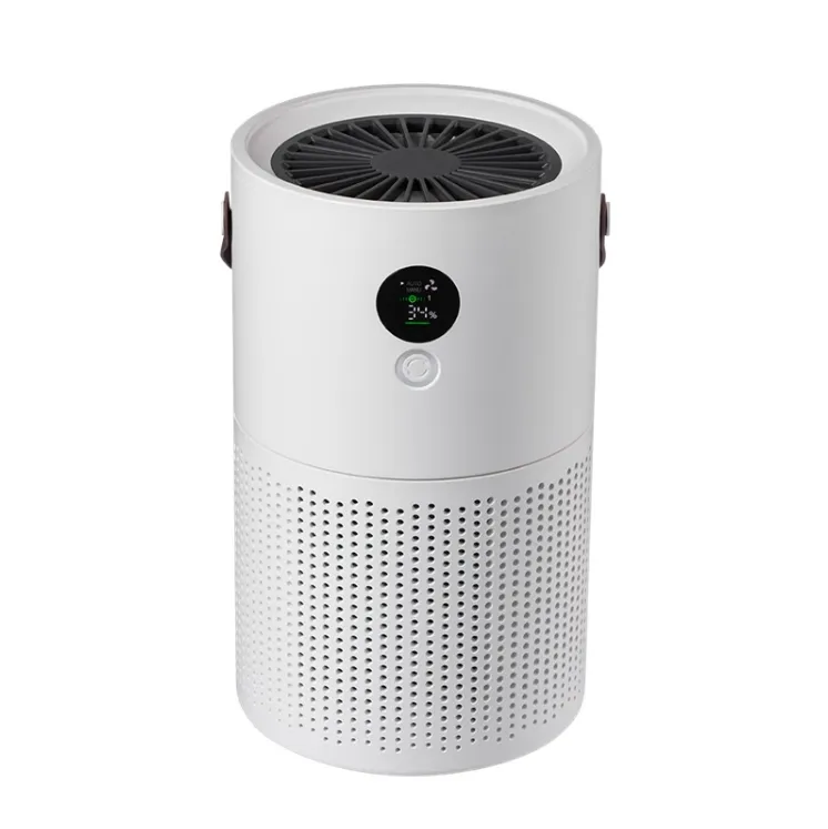 Air Purifiers for Mold and Mildew in Your Home 1