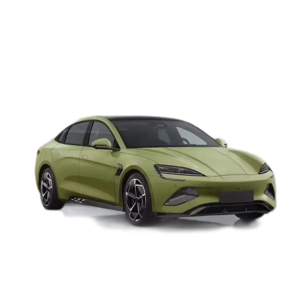 High-end Byd Electric Auto Suppliers 2