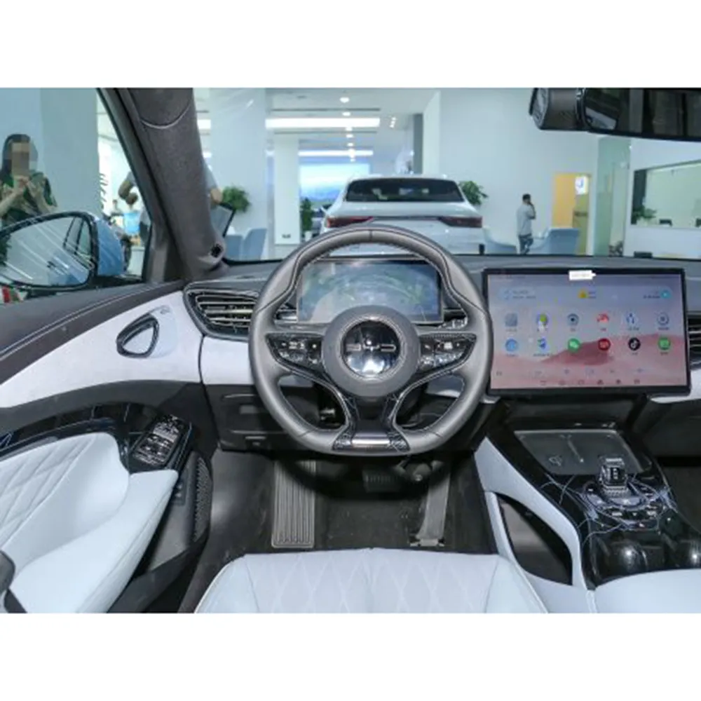 High-end Byd Electric Auto Suppliers 6