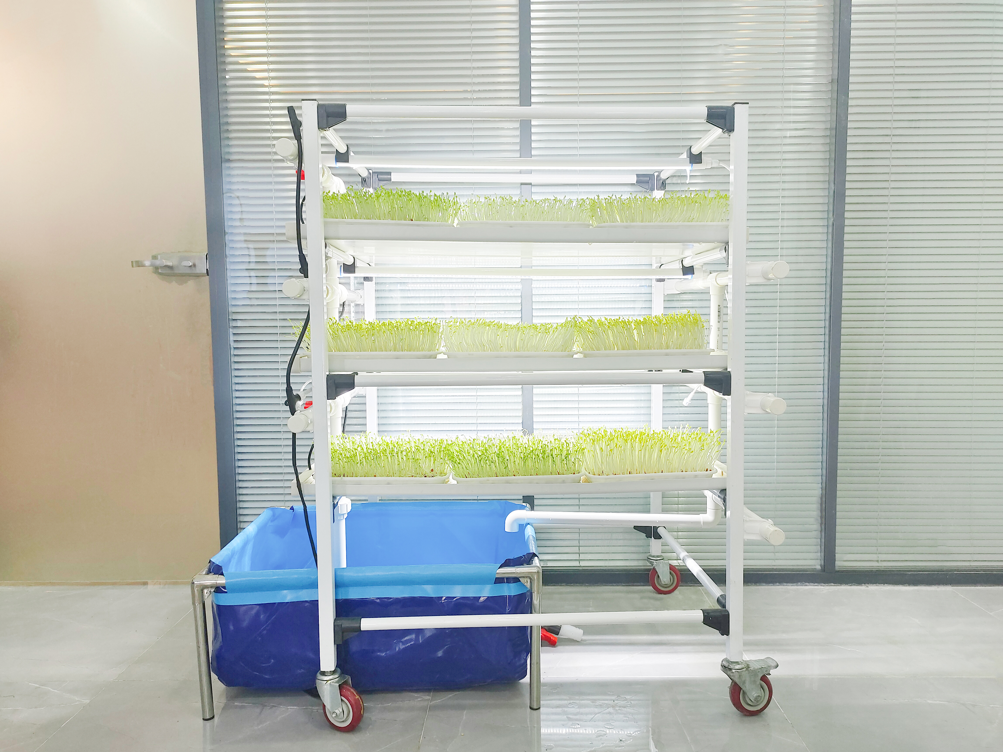 Lyine microgreen growing kit rack hydroponic system
