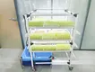 Seed Starting Rack Qingdao/Shanghai by Lyine 4