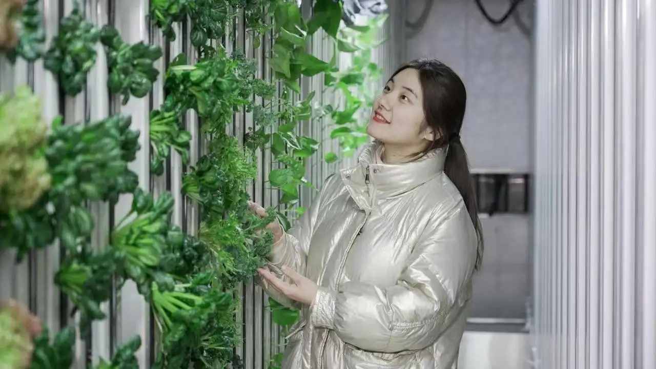 Cost-effective Hydroponic Container 2