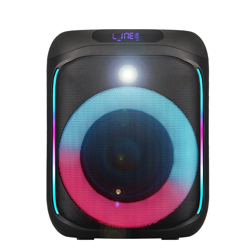 Speaker Manufacturer CCC CE ROHS FCC COC ISED - for Entertainment - Binko 2