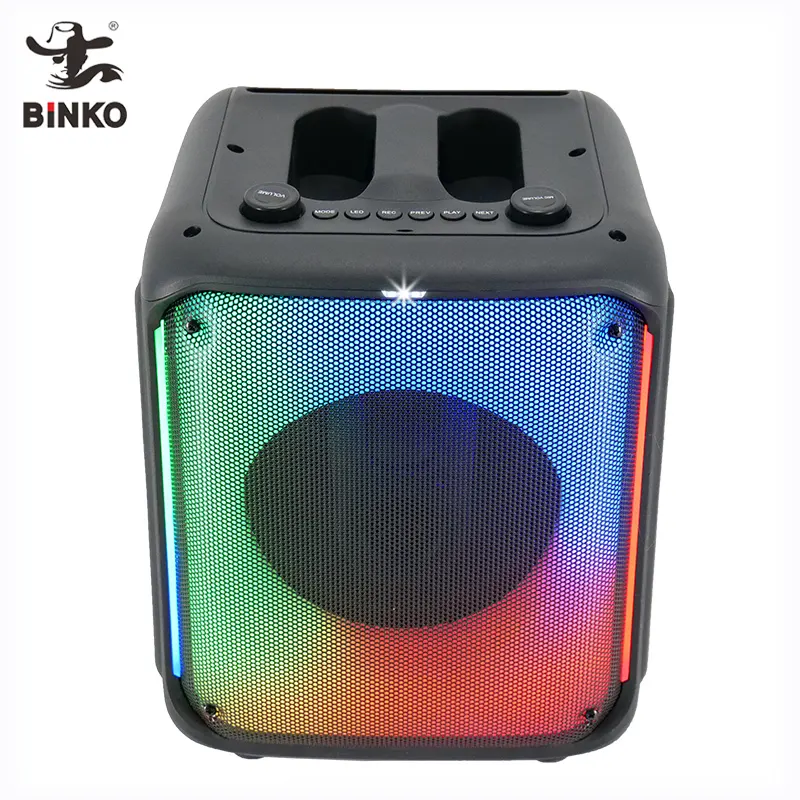 Speaker Factory for School Carton Boxcompany 5