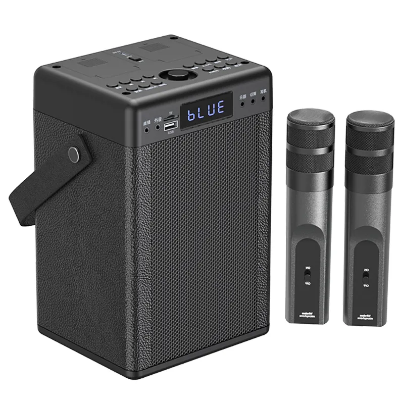 For Indoor Speaker Company BINKO by Binko 10