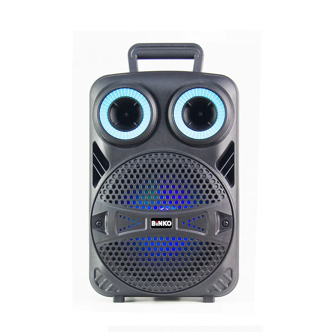 Custom Wholesale Speakers for School 4