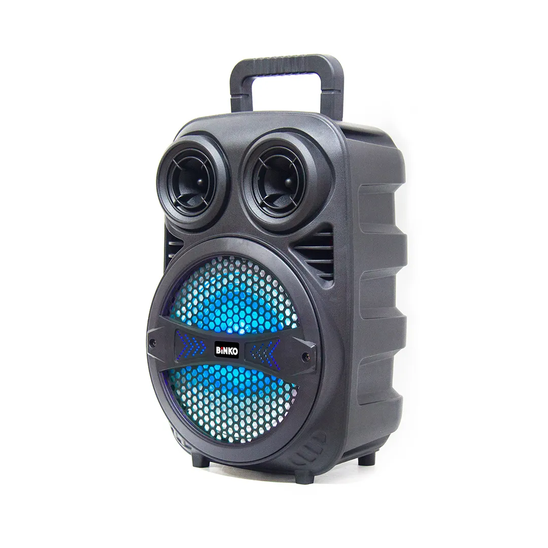 Custom Wholesale Speakers for School 5