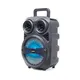 Custom Wholesale Speakers for School 5