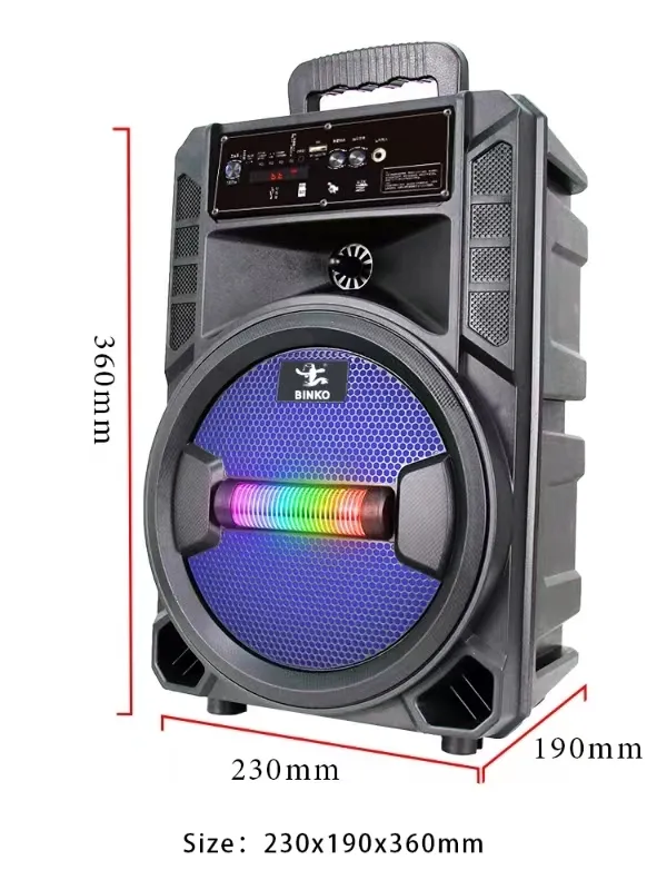 China Bluetooth Speaker Supply for PartyCarton Box 5