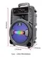 China Bluetooth Speaker Supply for PartyCarton Box 5