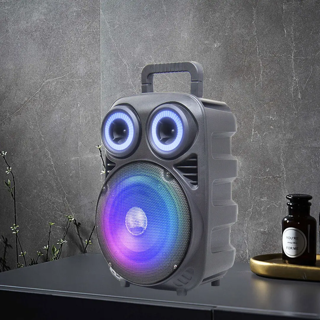 Binko Portable Speaker Supplier Black Shell with Color Light Portable Speaker Suppliercompany 4