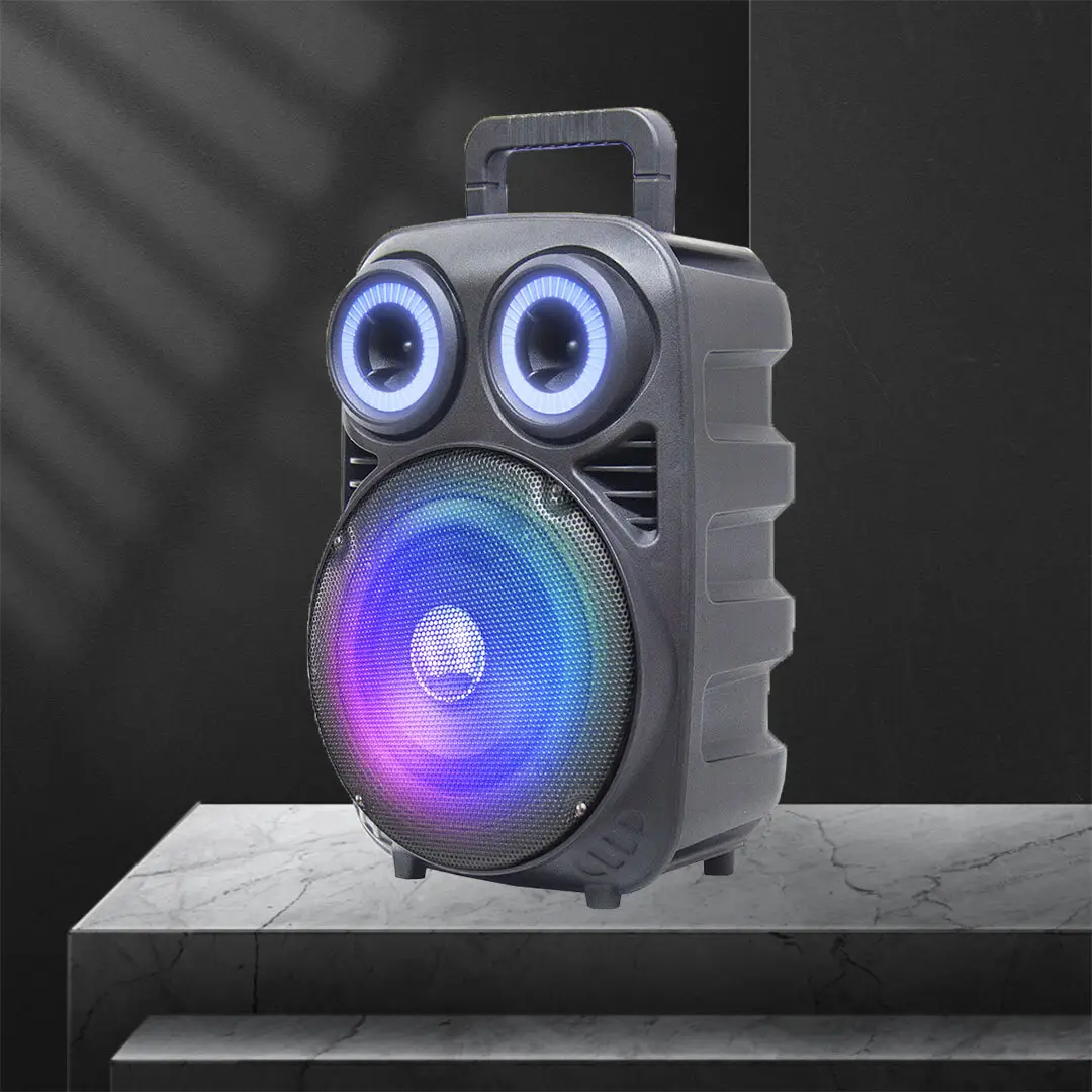 Binko Portable Speaker Supplier Black Shell with Color Light Portable Speaker Suppliercompany 3