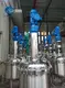 Professional Stainless Steel Reactor Price List 6
