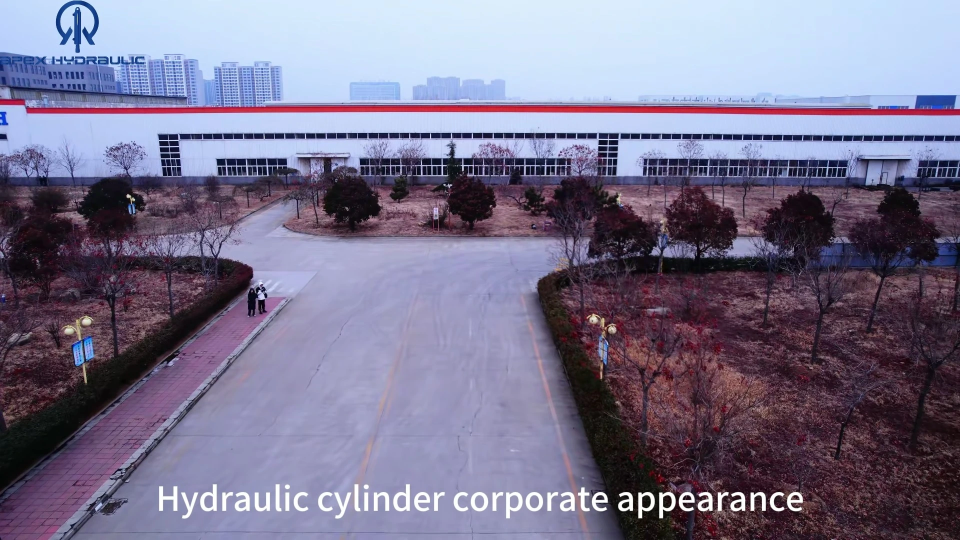 Welded Double Acting Hydraulic Cylinder 1