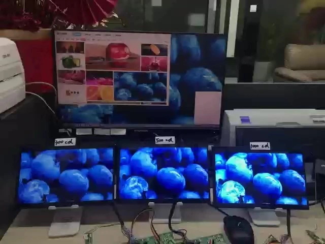 LCD-Bildschirm im Freien 10.1 Zoll BSD101WUM-N80-500CD 1920*1200 1