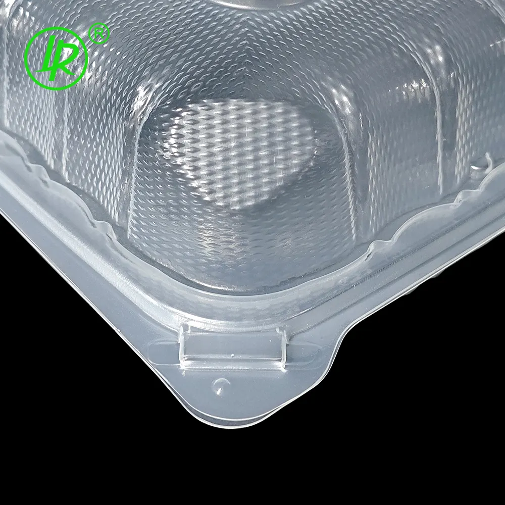 Boîte d'emballage en plastique avec couvercle rabattable 7