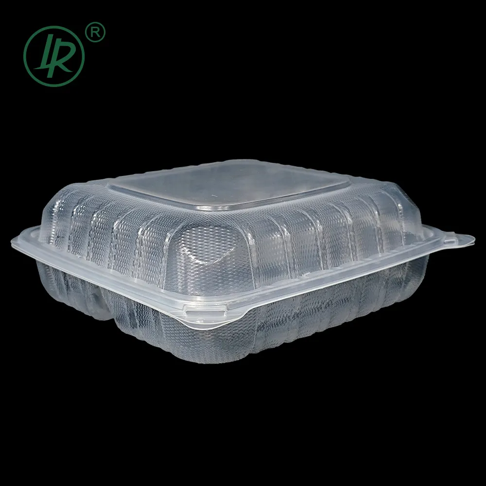 Boîte d'emballage en plastique avec couvercle rabattable 2