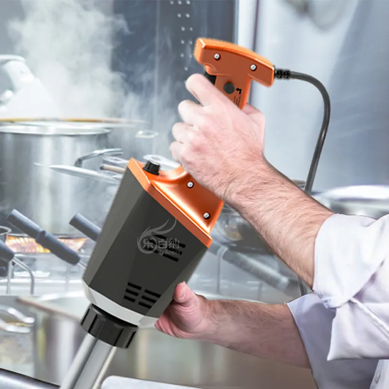 Immersion Blender for Hotel Kitchen Upplier 3