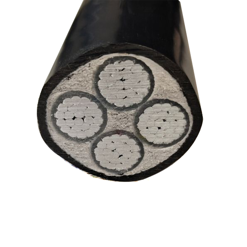 Câble d'alimentation YJLV-0,6/1kV 13