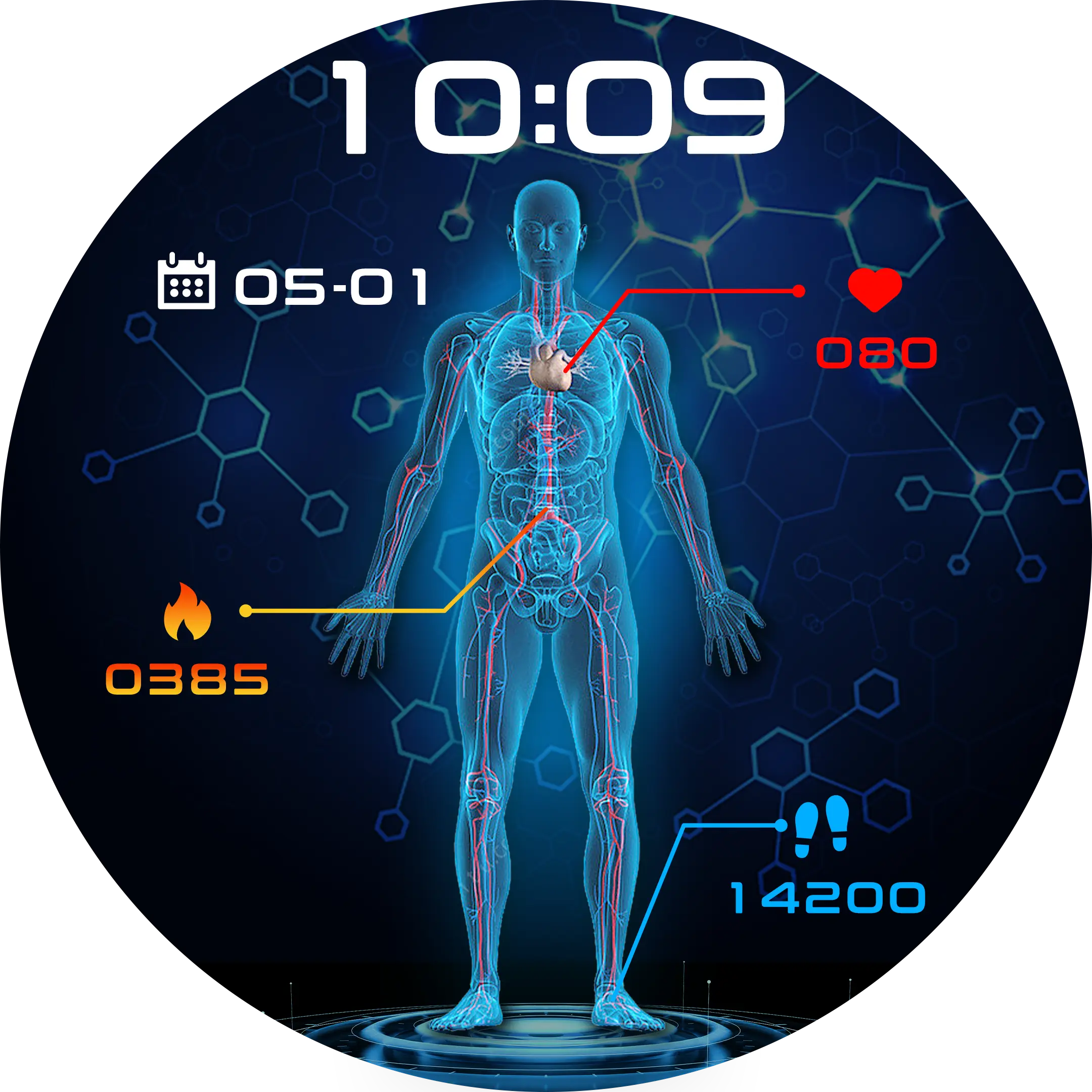 Goodway Smart Wearable Medical Devices T/TManufacturers 14