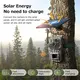 New Cellular Solar Trail Camera Price List 3