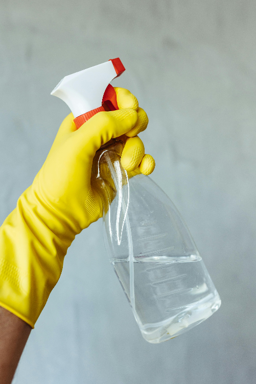 Will Washing Bedding Kill Fleas?