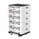 Portable Electric Transportation - - the Energetic-1 2