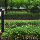 Aluminium Insect Screen Mesh - - PULU 4