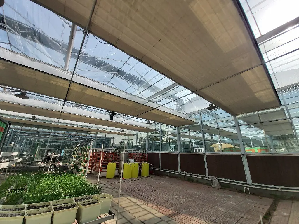 Twin Wall Greenhouse Negotiate by Jianda Greenhouse 2