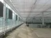 Polycarbonate Greenhouse Available by Jianda Greenhouse 2