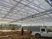 Polycarbonate Greenhouse Available by Jianda Greenhouse 3