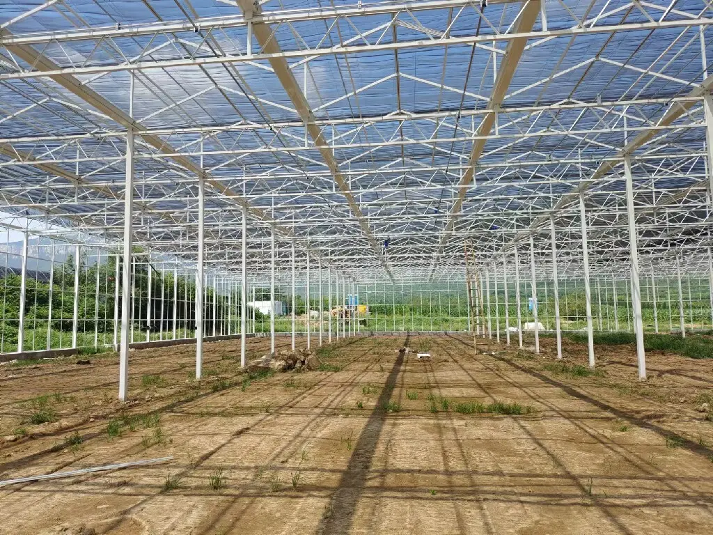 Polycarbonate Greenhouse Available by Jianda Greenhouse 4