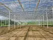 Polycarbonate Greenhouse Available by Jianda Greenhouse 4