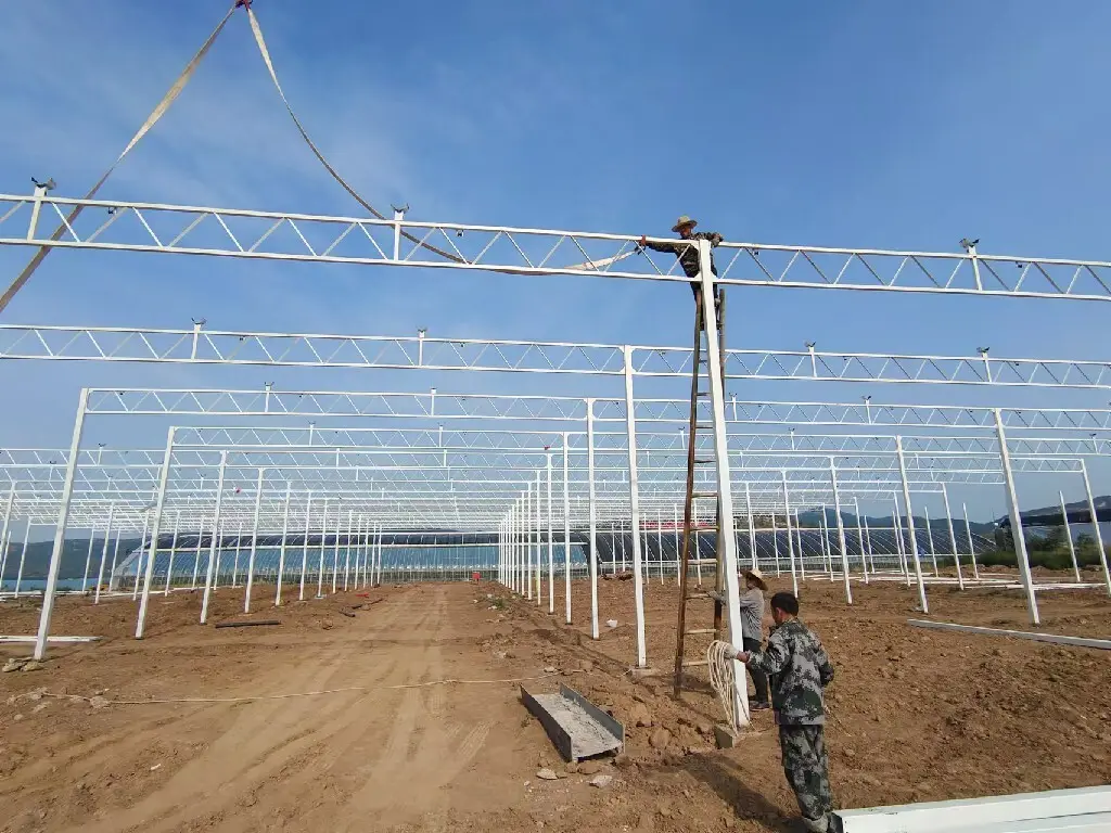 Polycarbonate Greenhouse Available by Jianda Greenhouse 5