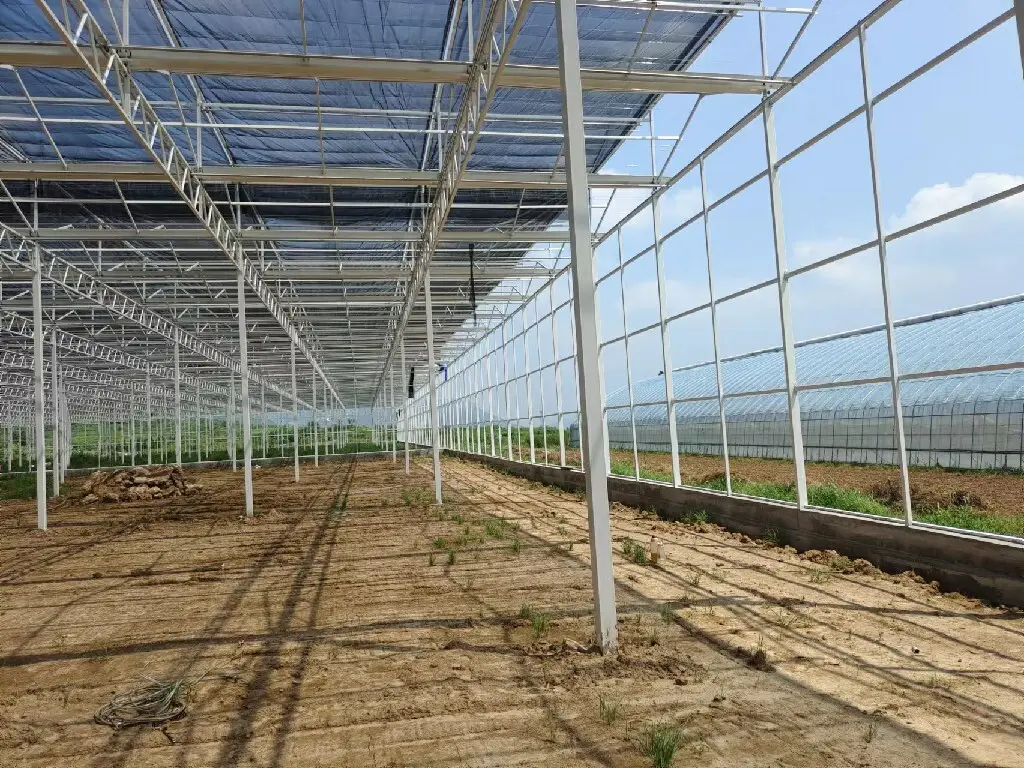 Polycarbonate Greenhouse Available by Jianda Greenhouse 6