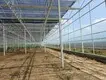 Polycarbonate Greenhouse Available by Jianda Greenhouse 6