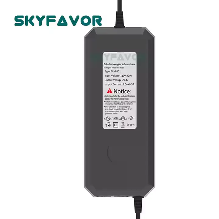 Battery Starter Charger by SKYFAVOR 6