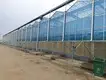 Greenhouses for Sale Cash - - Jianda Greenhouse 2