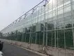 Greenhouses for Sale Cash - - Jianda Greenhouse 3