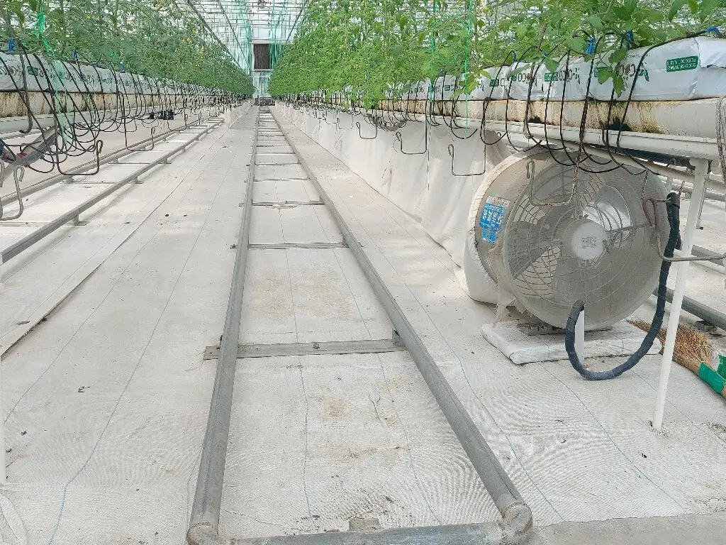 Greenhouses for Sale Cash - - Jianda Greenhouse 5