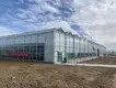Venlo Greenhouse Structure QINGDAO - - Jianda Greenhouse 2