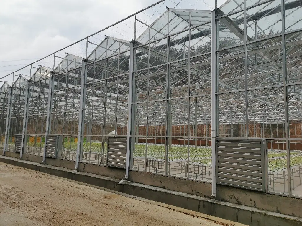 Venlo Greenhouse Structure QINGDAO - - Jianda Greenhouse 3