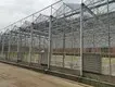 Venlo Greenhouse Structure QINGDAO - - Jianda Greenhouse 3