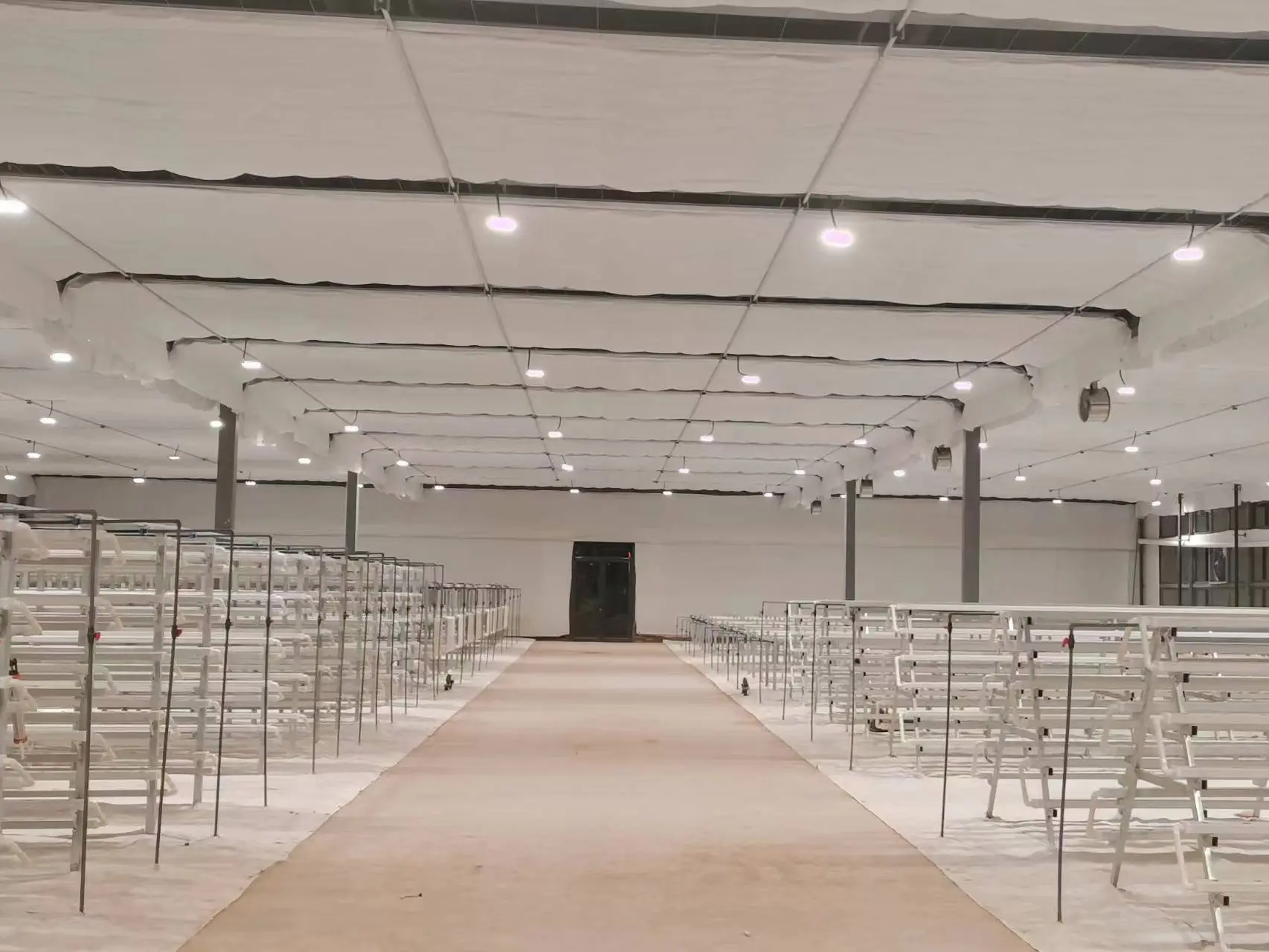 Venlo Greenhouse Structure QINGDAO - - Jianda Greenhouse 6