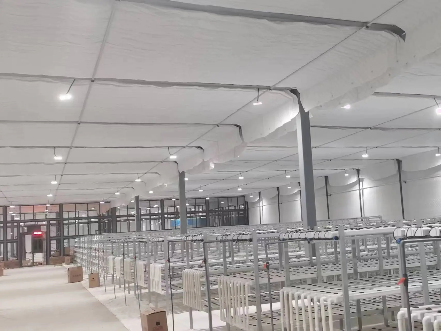 Venlo Greenhouse Structure QINGDAO - - Jianda Greenhouse 7