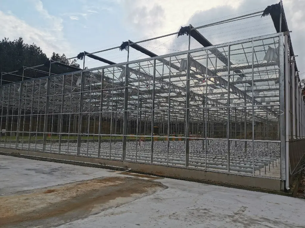 Best Greenhouse for Tomatoes Available - - Jianda Greenhouse-1 3