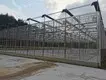 Best Greenhouse for Tomatoes Available - - Jianda Greenhouse-1 3