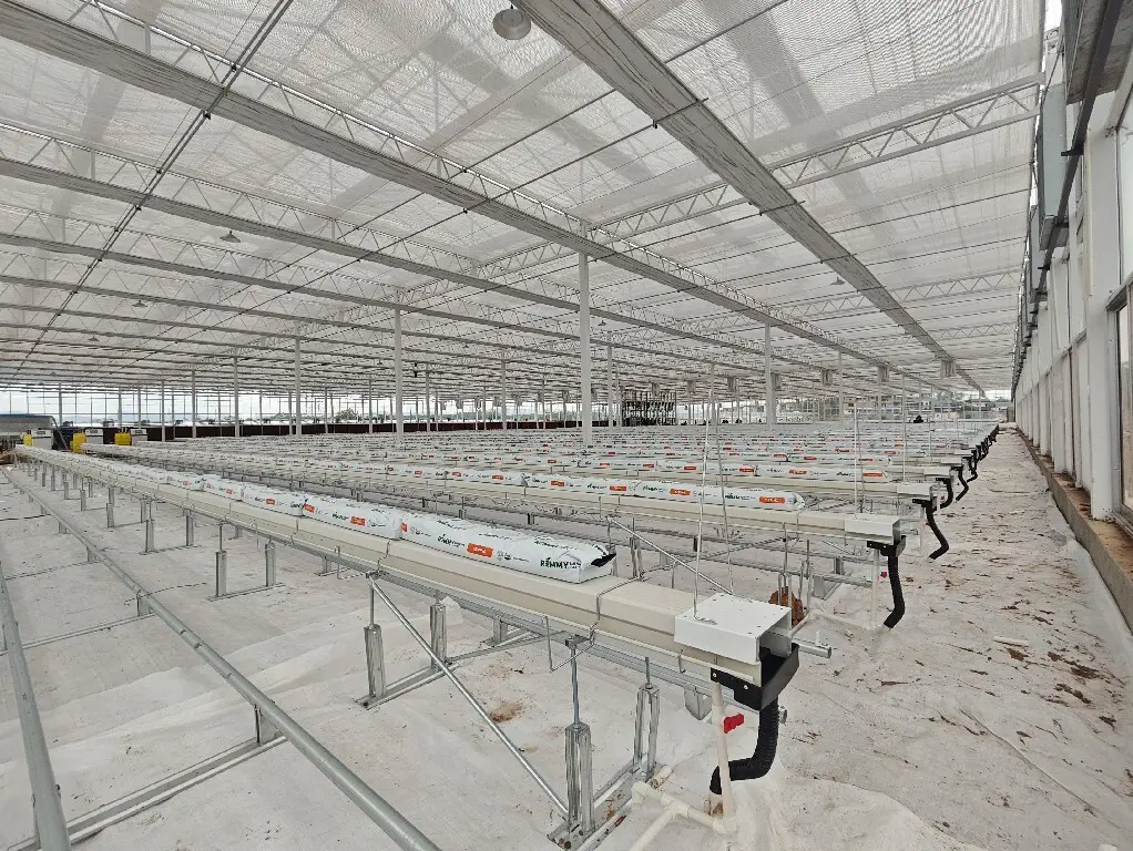 Best Greenhouse for Tomatoes Available - - Jianda Greenhouse-1 4
