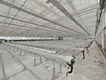 Best Greenhouse for Tomatoes Available - - Jianda Greenhouse-1 4