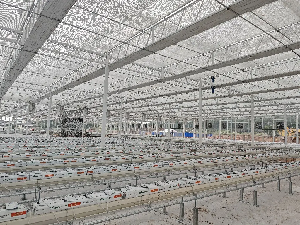 Best Greenhouse for Tomatoes Available - - Jianda Greenhouse-1 6